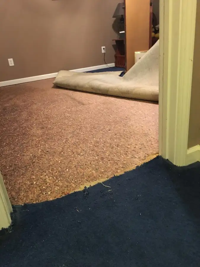Carpet pad removal revealing water damage during Drying & Dehumidification in Olmsted Falls