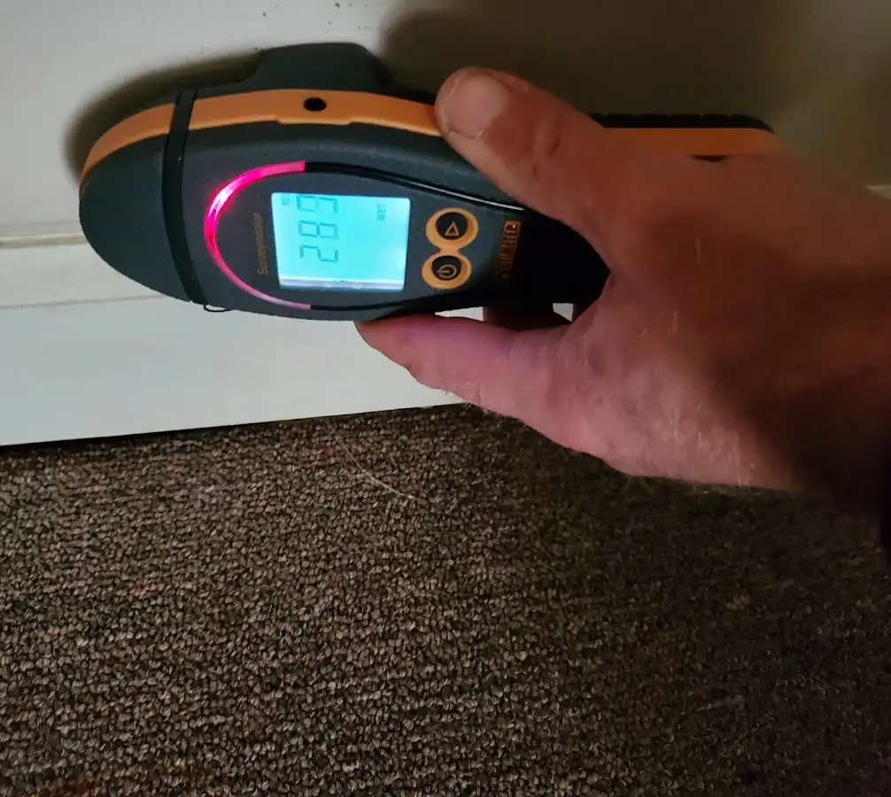 Moisture detection at baseboard during Sewage Cleanup & Sanitation in Olmsted Falls